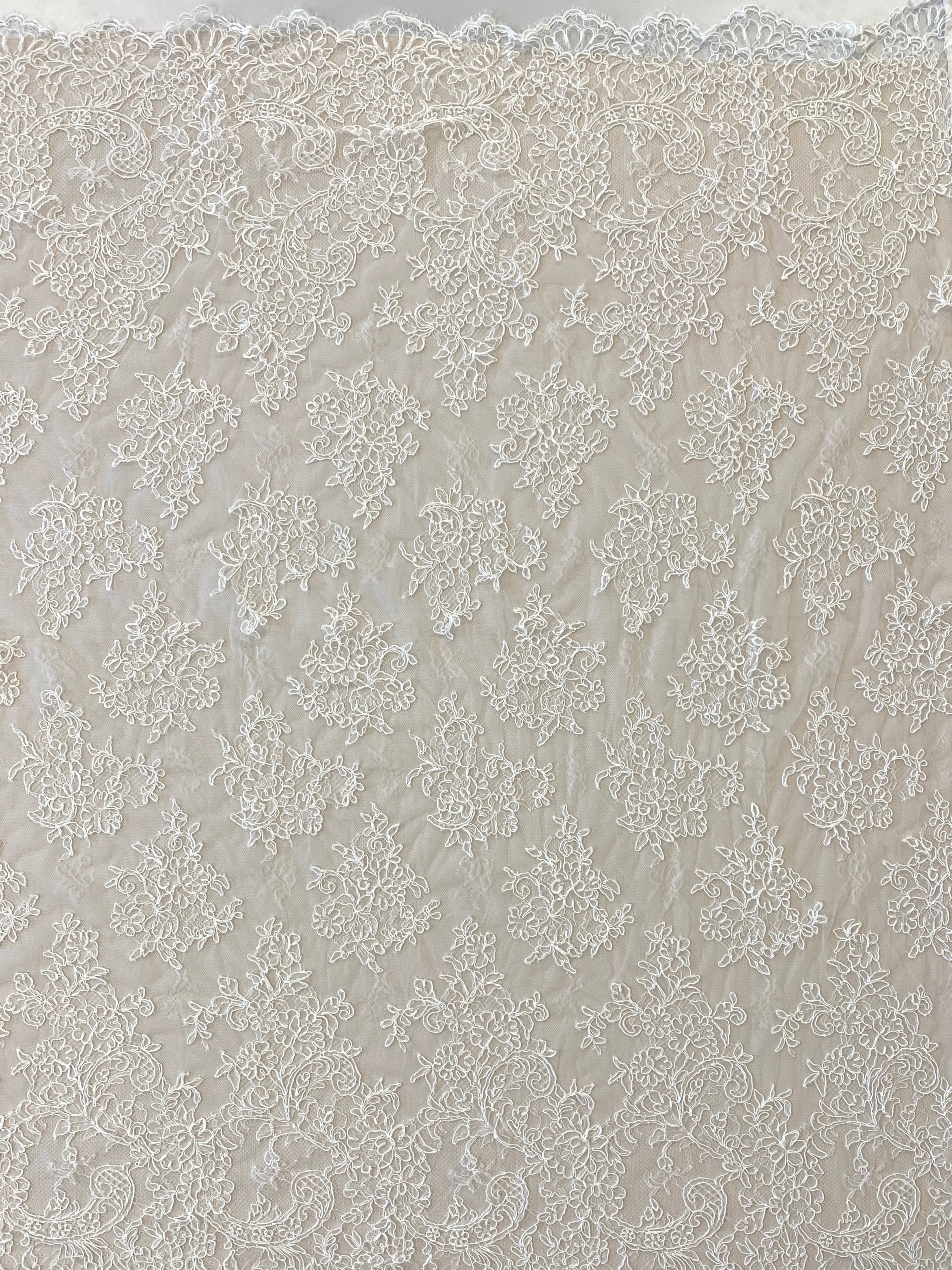Ivory Fine Corded Lace — featuring scalloped edges, floral motifs and a corded texture, in nylon, cotton and viscose, 140cm wide