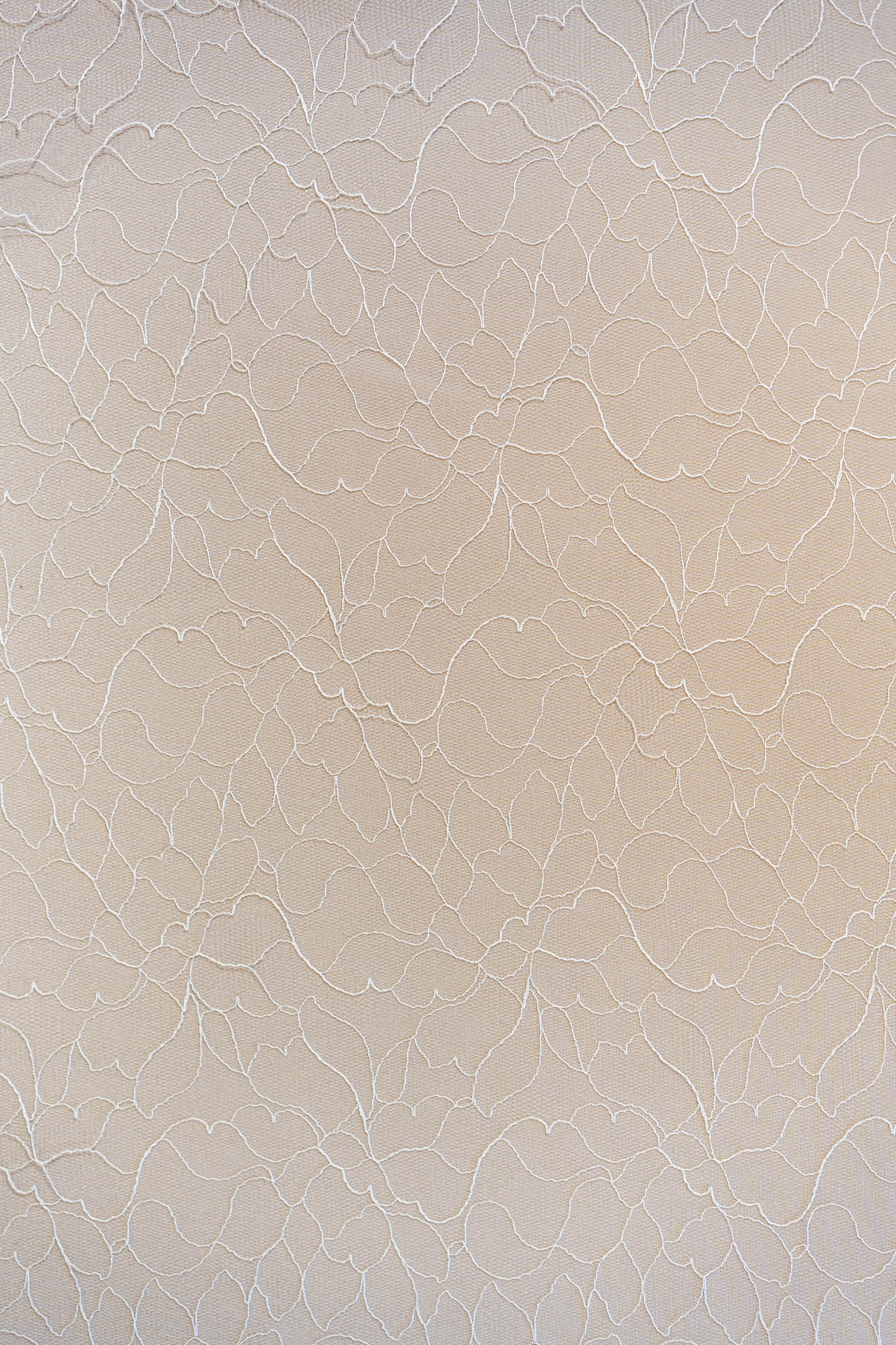 Ivory Fine Floral Lace — featuring floral motifs and an abstract design, in nylon, 150cm wide