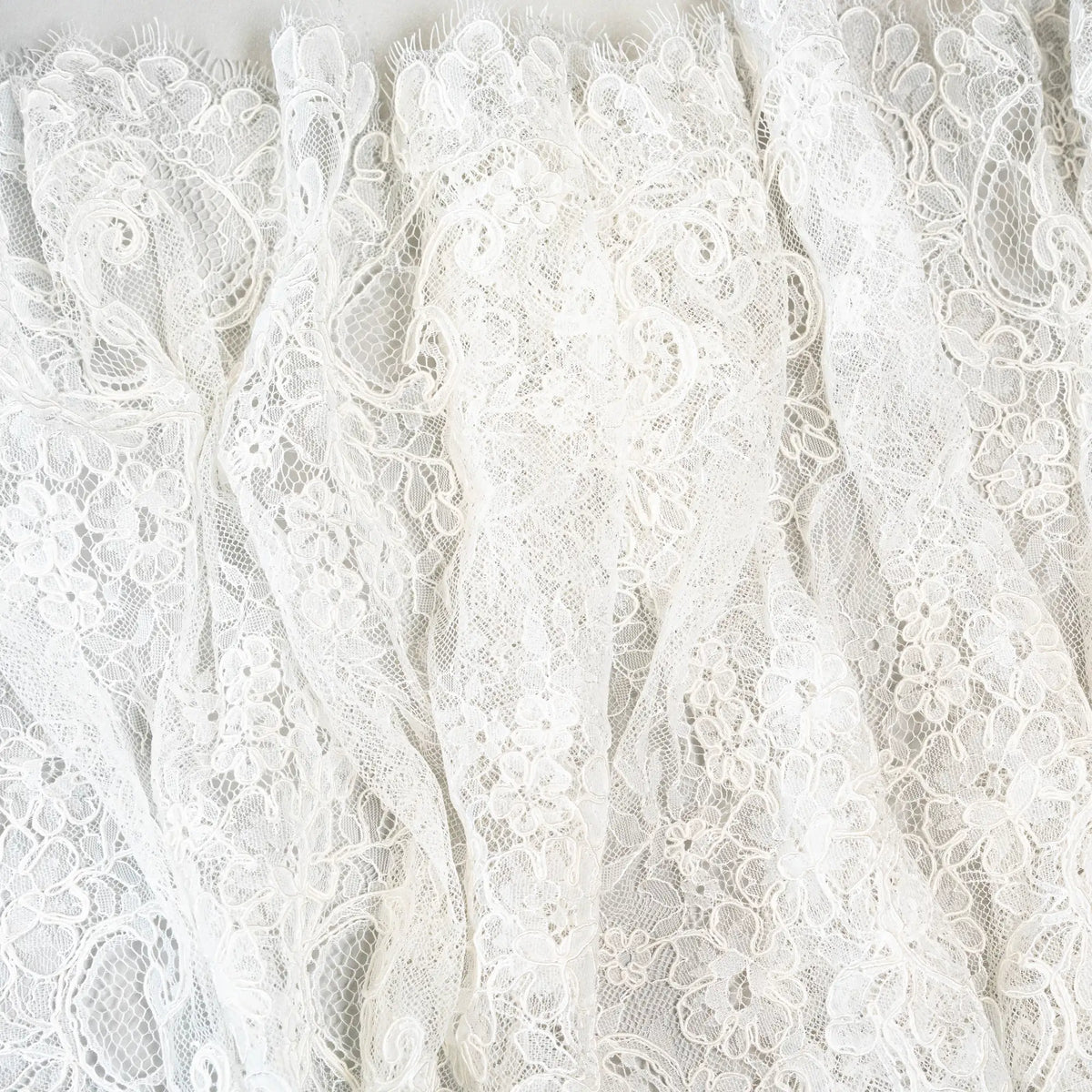 Efflorescent Corded Lace Trim (1524T) - Ivory