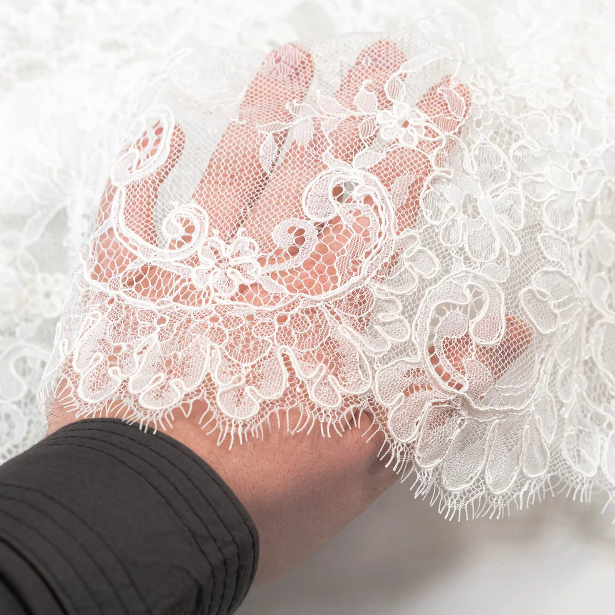 Efflorescent Corded Lace Trim (1524T) - Ivory