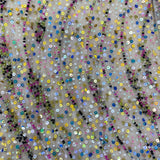 Remnant MISC Header
