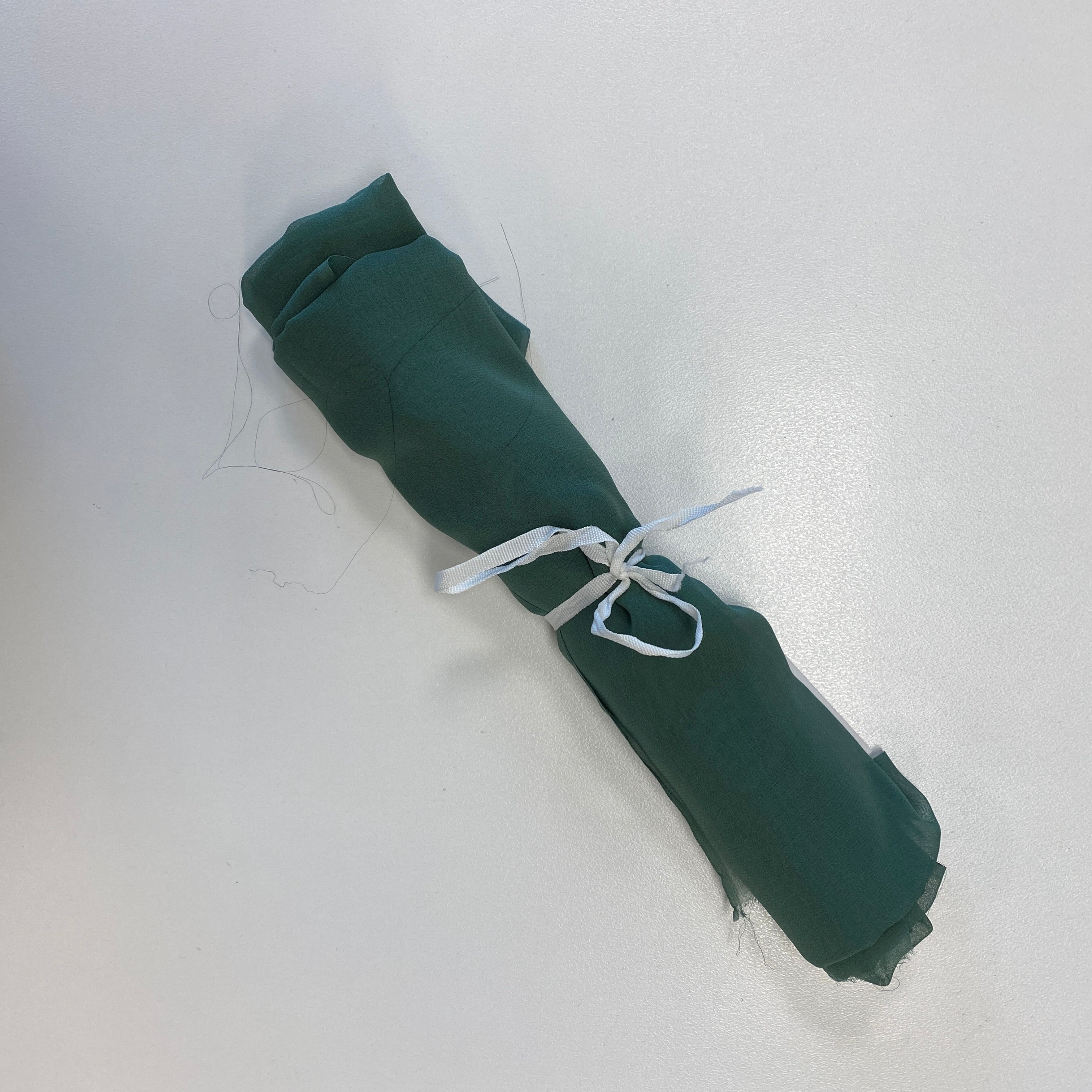 Seagrass Remnant Georgette