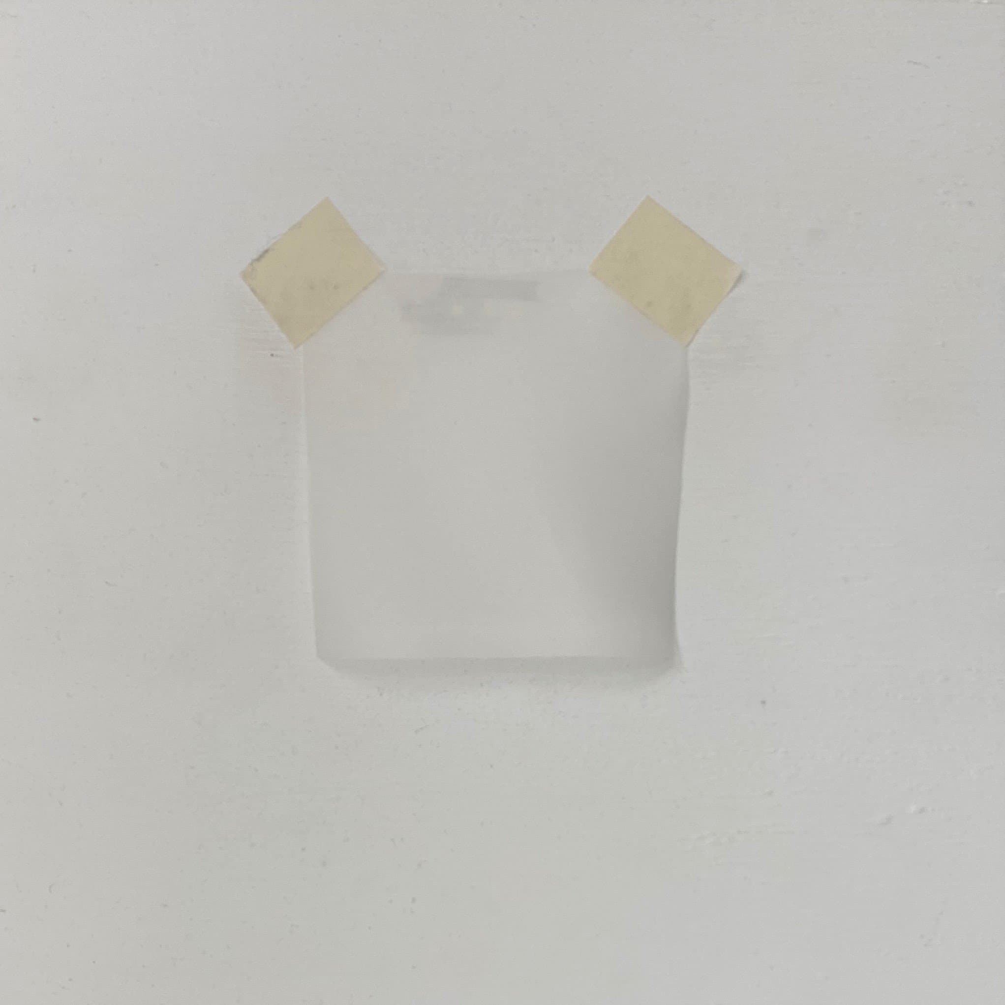 Remnant Satin Organza 12mmsSilk White