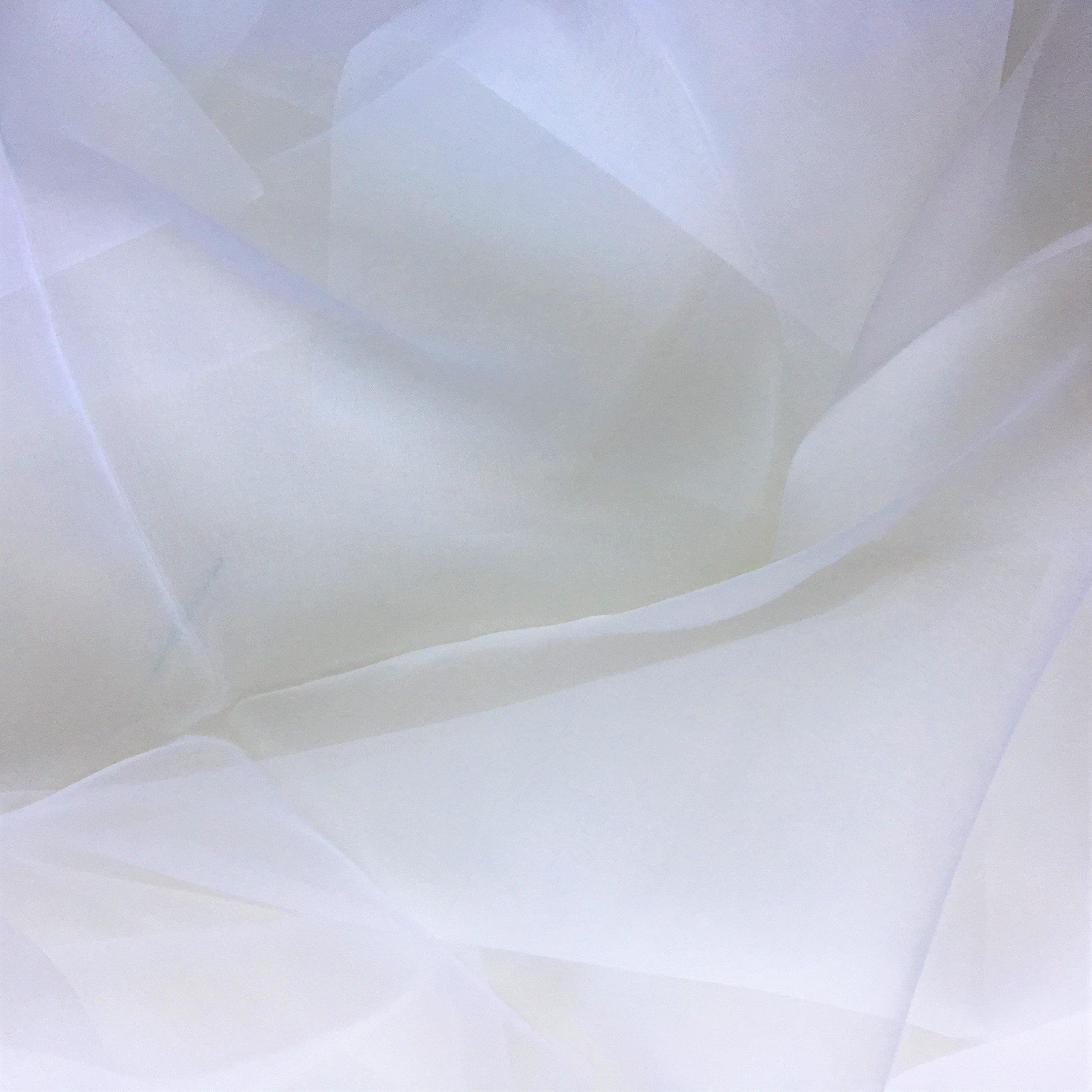 Remnant Silk Organza - White