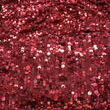 Sequin Georgette Raspberry