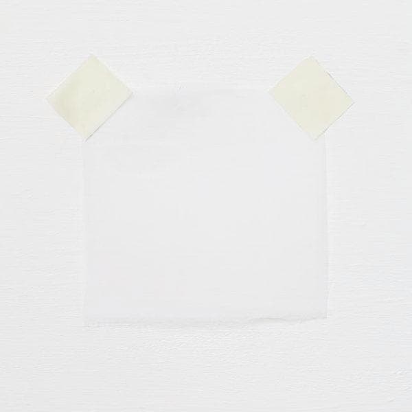 Remnant Silk Organza - White