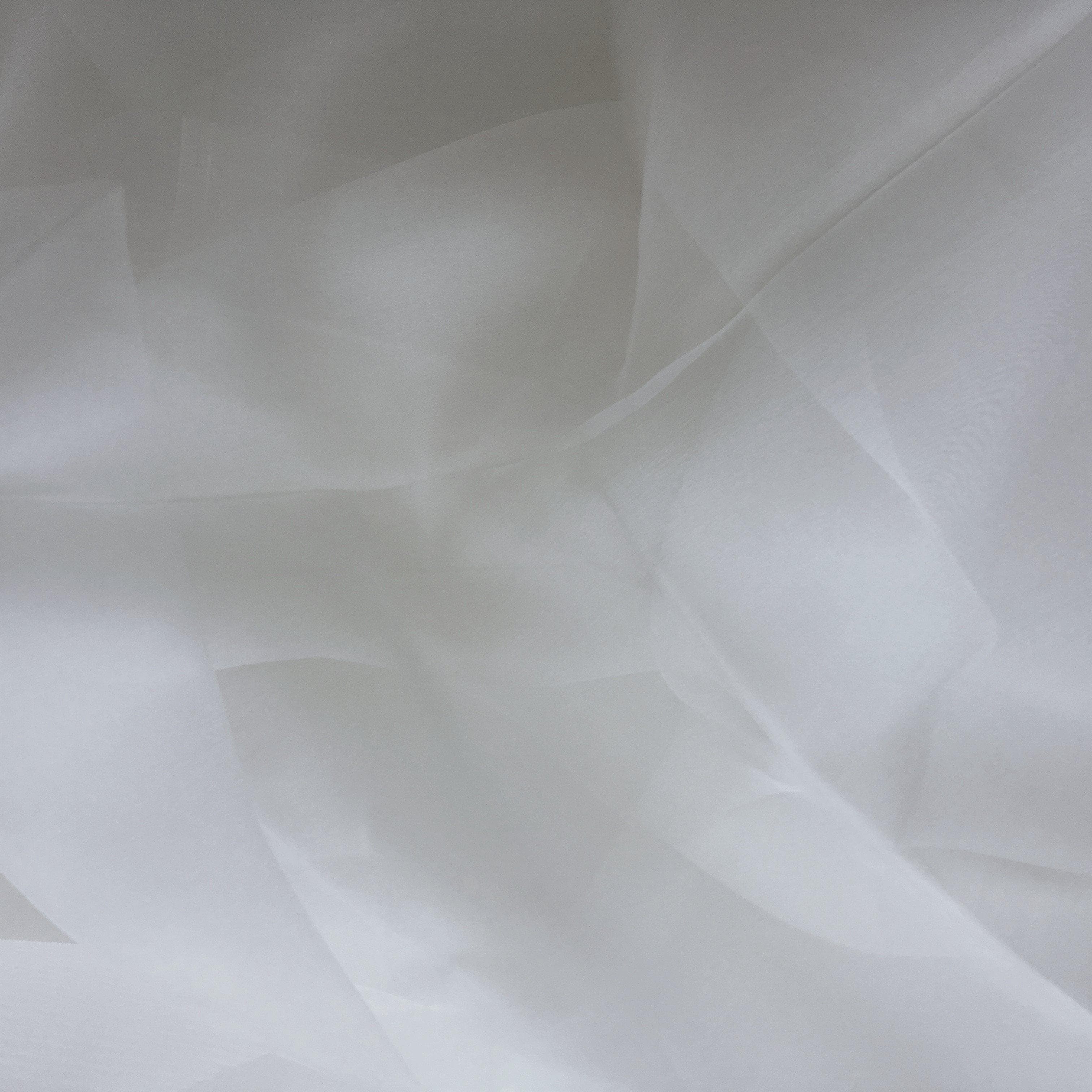 Organza - Bone
