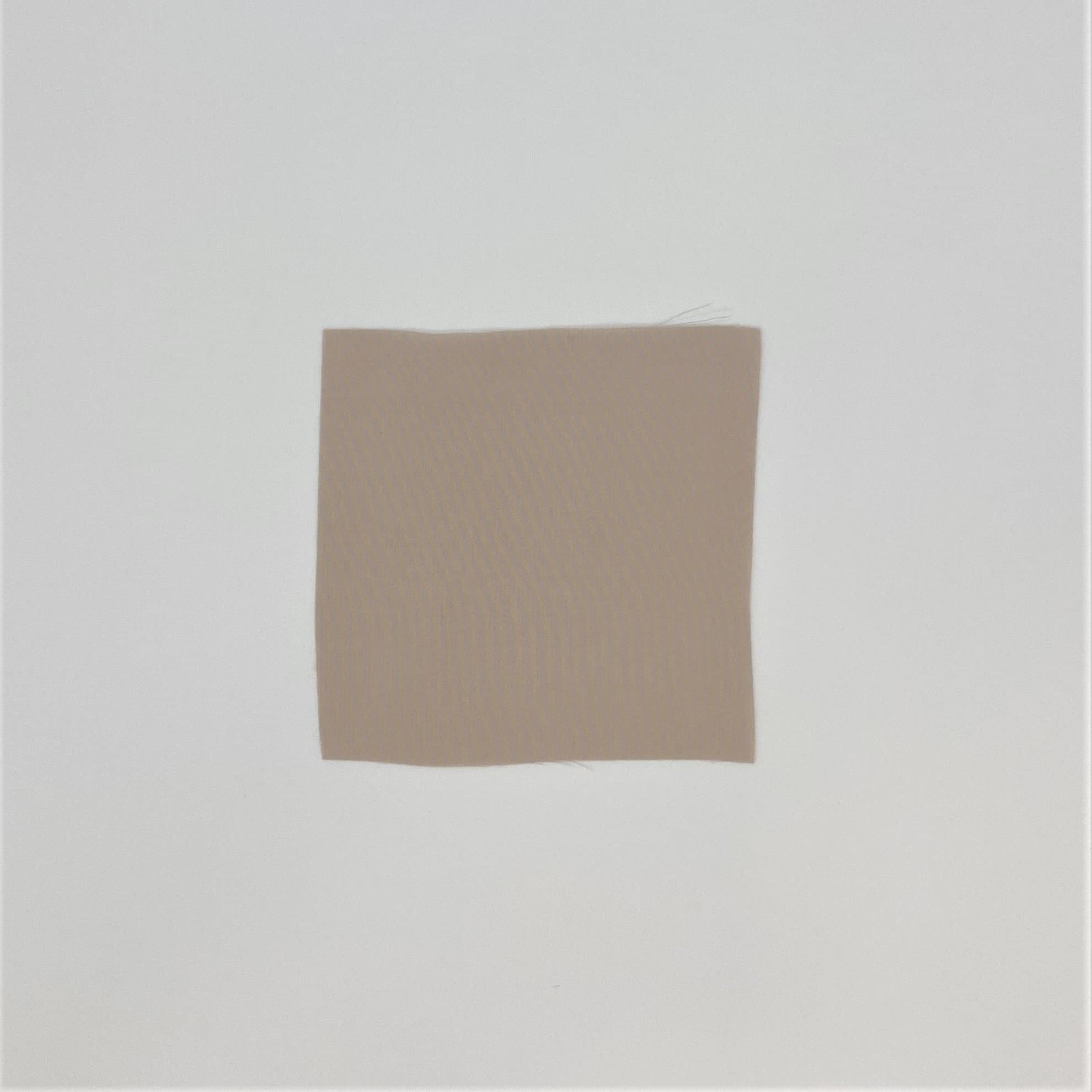 Crepe De Chine - Tea Rose