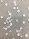 Hail Spot Embroidered Tulle (W3392) Ivory
