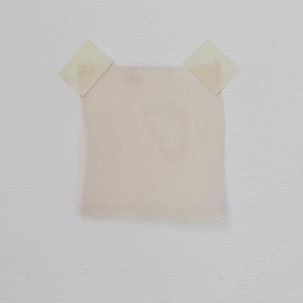 Apricot Silk Organza — lightweight, sheer and smooth with a low-sheen finish, 100% silk, 137cm wide