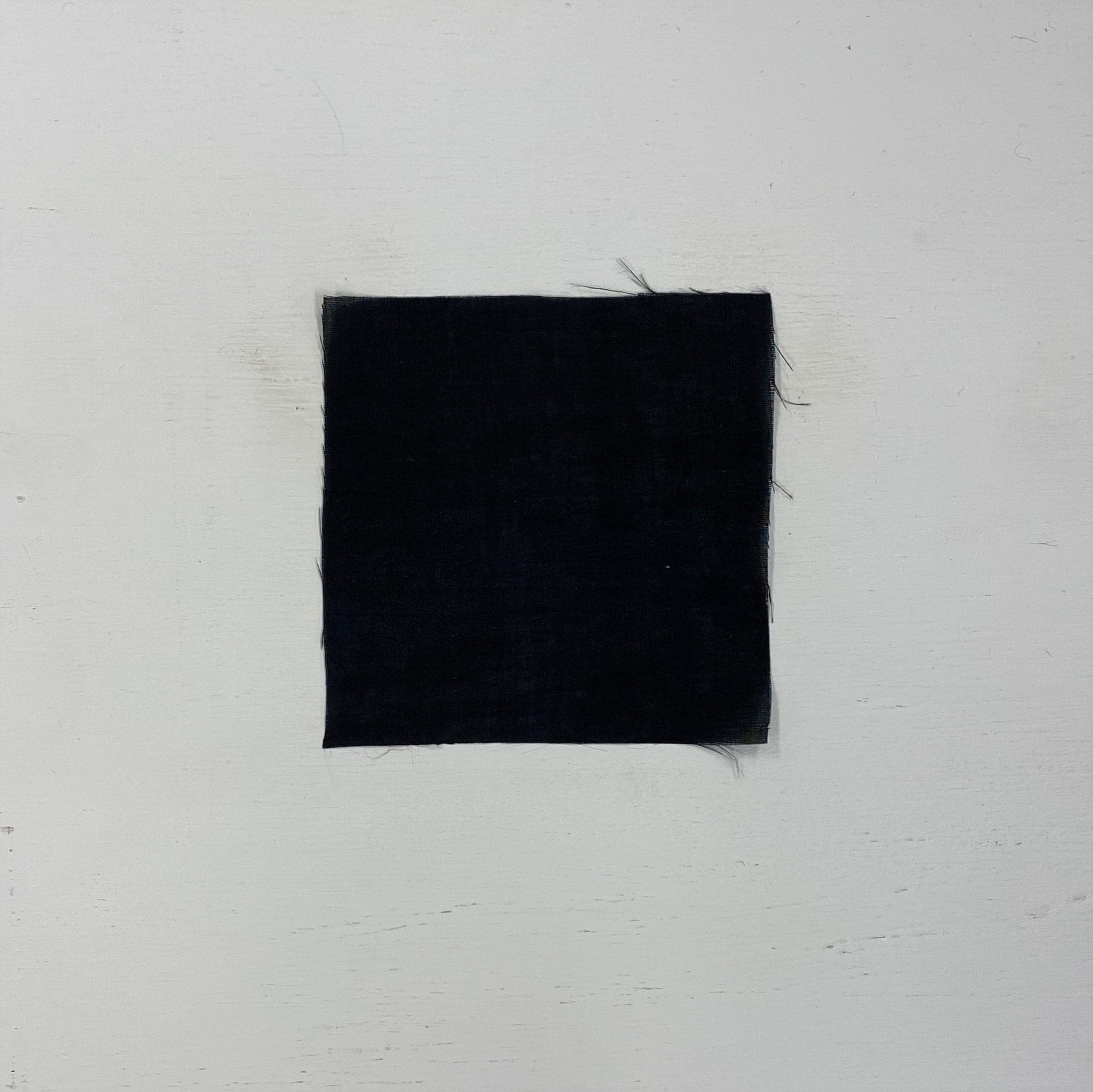 Banana Peel Fabric Black