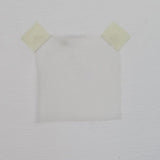 Bone Silk Organza — lightweight, sheer and smooth with a low-sheen finish, 100% silk, 137cm wide