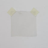 Dove Silk Organza — lightweight, sheer and smooth with a low-sheen finish, 100% silk, 137cm wide