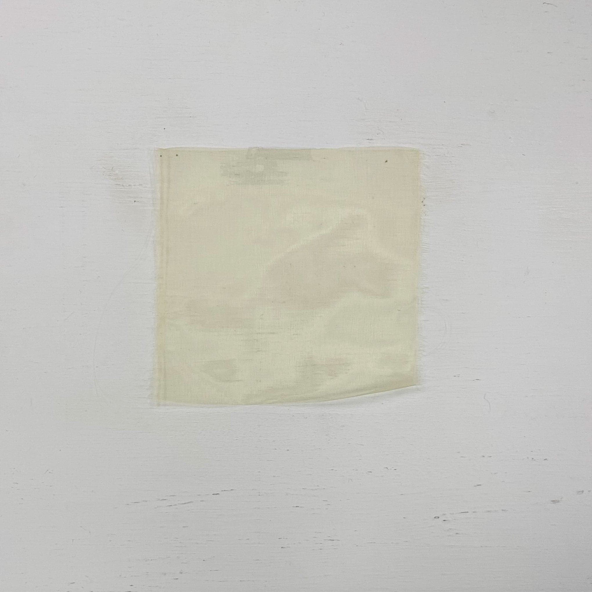 Butter Silk Organza — lightweight, sheer and smooth with a low-sheen finish, 100% silk, 137cm wide
