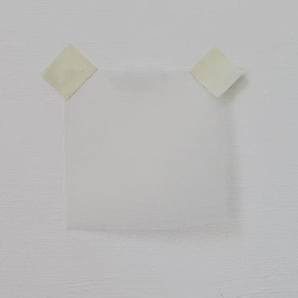 Oyster Silk Organza — lightweight, sheer and smooth with a low-sheen finish, 100% silk, 137cm wide