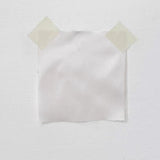 Peony Silk Dupion — mid-weight and crisp with a lightly slubbed texture, 100% silk, 137cm wide