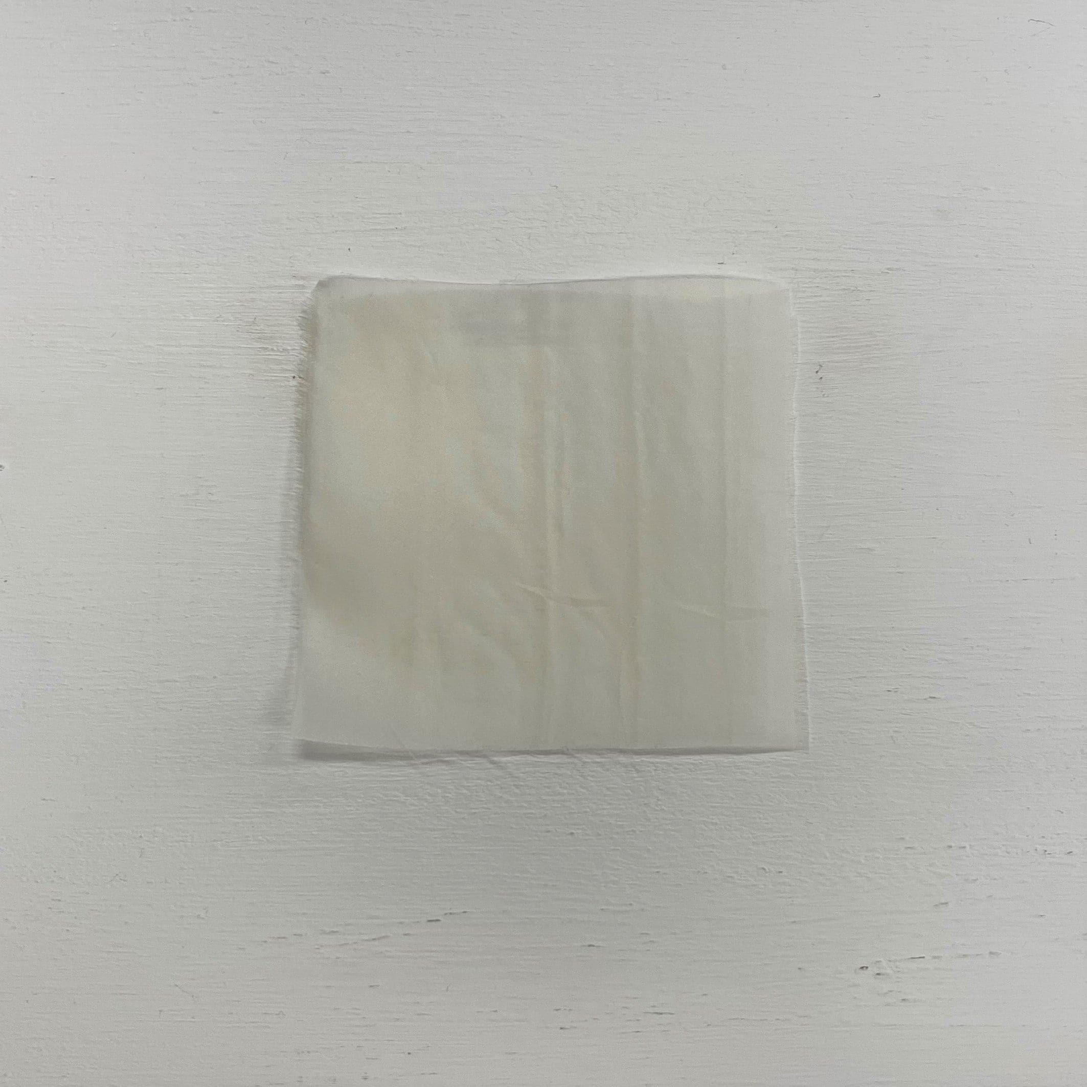 Satin Organza - Ivory (16 momme)
