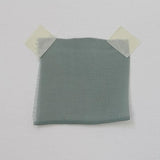 Seagrass Remnant Georgette