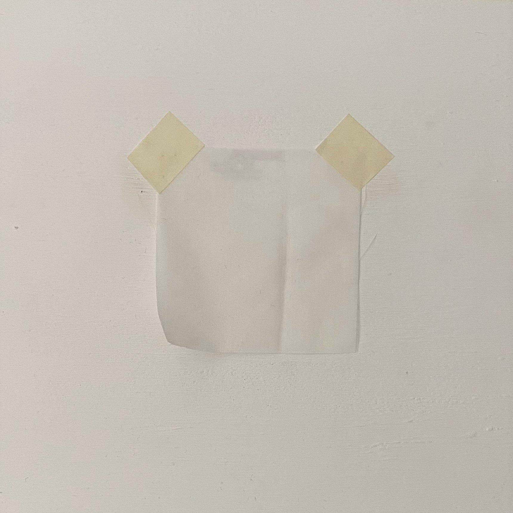 Silk Cotton Voile Ivory