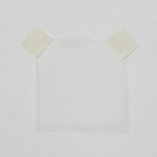 Organza - Silk White
