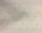 Fine lace trim (1294t) Mid.Ivory