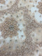 Remnant Hand Beaded Lace (1590bd) Blush