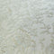Fine floral lace (1659) Mint