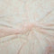 Fine floral lace (1659) Peony