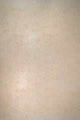 Sequined Floral Corded Lace (1683BD) - Sand