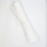Ivory Remnant Silk Mesh