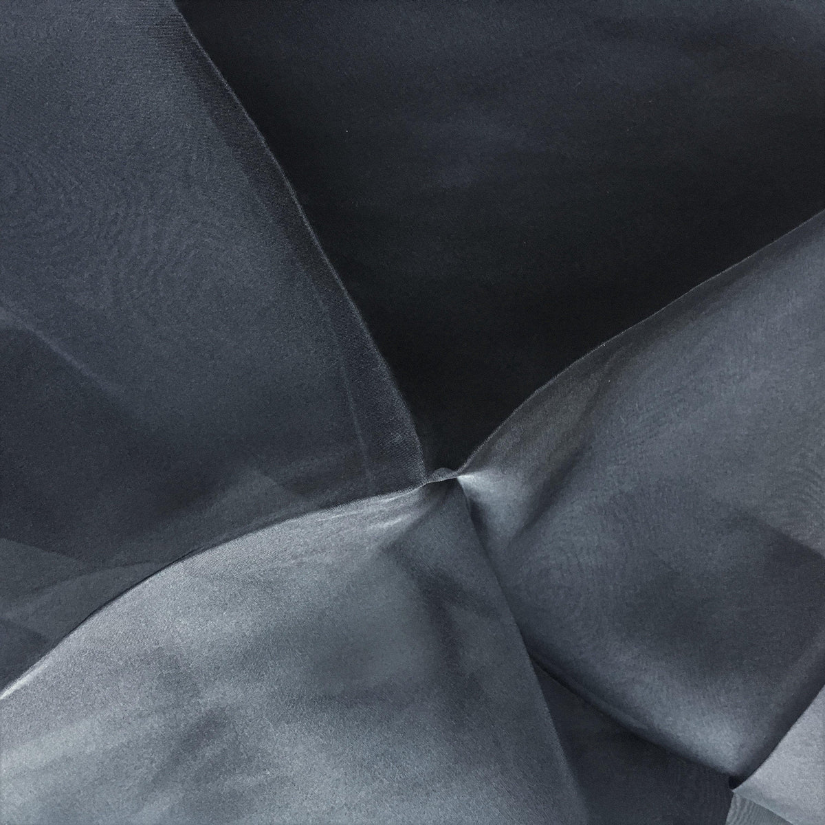 Remnant Silk Organza - Black
