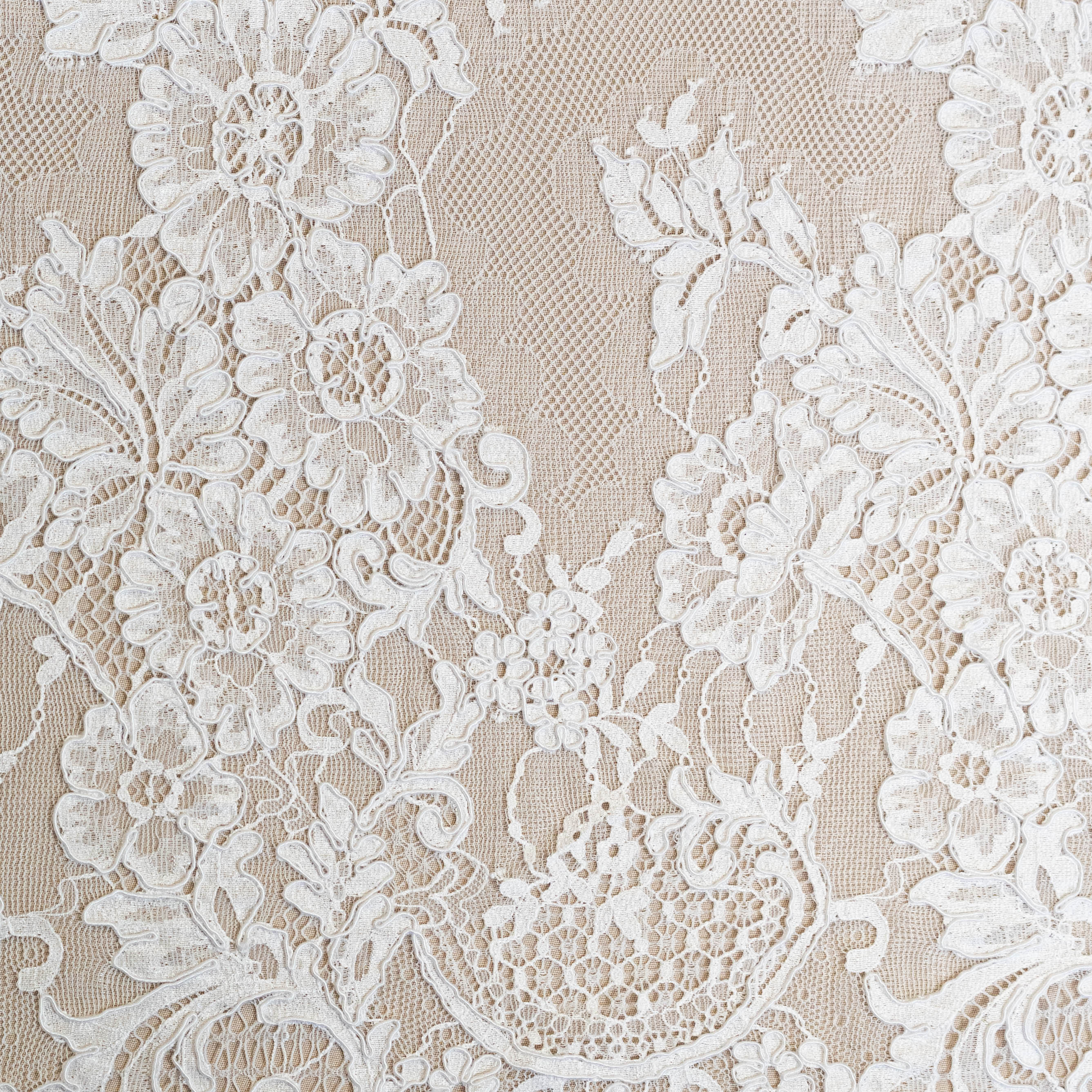 White Corded Floral Lace — featuring scalloped edges, eyelash detail and floral motifs, in nylon, 140cm wide
