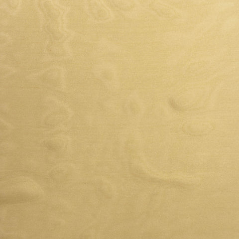 Satin Chiffon - Gold