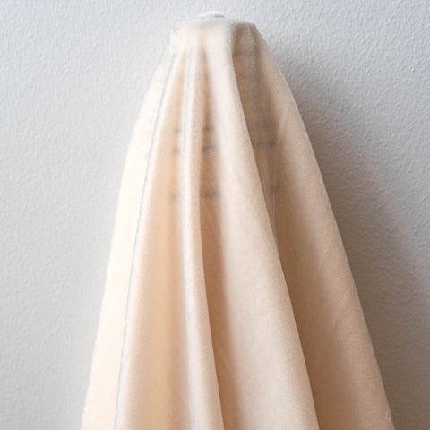 Metallic Velvet Champagne