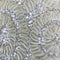 Remnant MISC Header