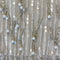 Remnant MISC Header
