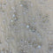 Remnant MISC Header