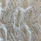 Remnant MISC Header