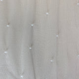 Remnant MISC Header