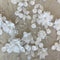 Remnant MISC Header