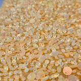 Gold Sequin Tulle — featuring hand-beading and sequins, 100% nylon, 110cm wide