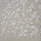 Sequined tulle (VJ12A079) Ivory