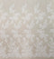 Floral Embroidered tulle (VJ12B064) Ivory