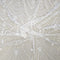 Embroidered Tulle (VJ33260) Ivory