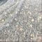 Sequin Tulle (K26259) Ivory/1