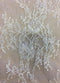 Remnant Beaded fine lace (1293bd) Ivory