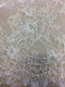 Remnant Beaded fine lace (1293bd) Ivory