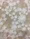 3D Floral Lace (1528) White