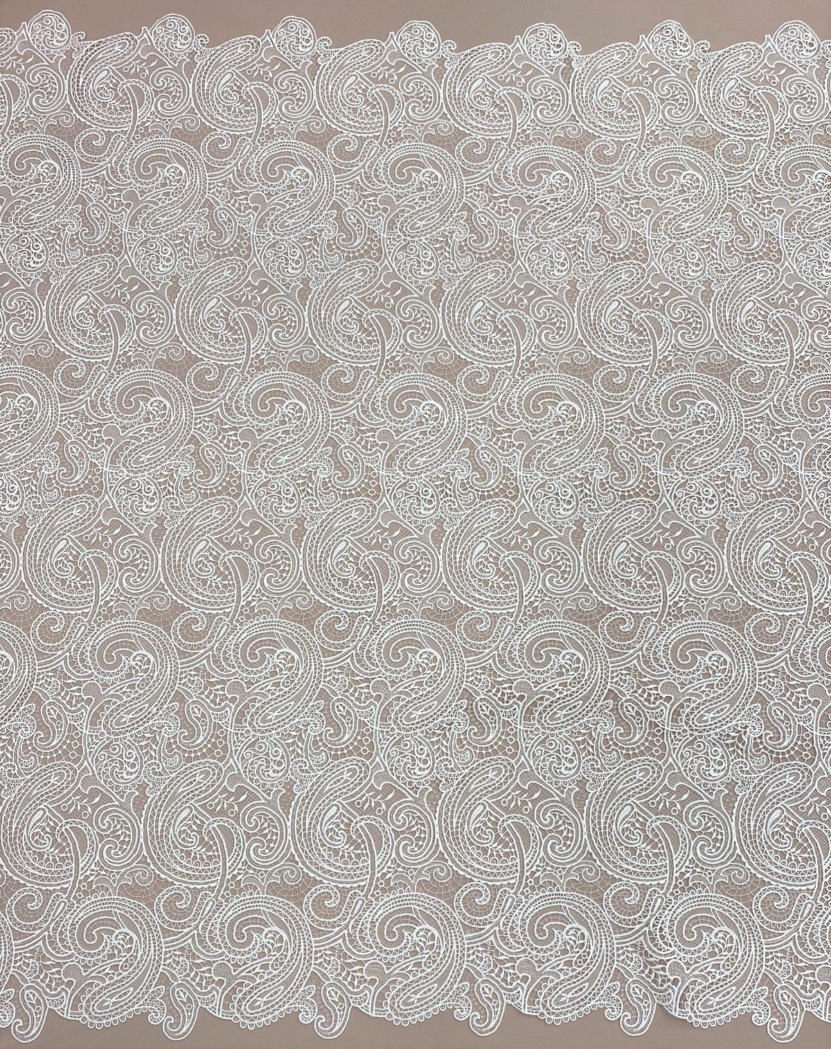 Paisley Guipure Lace (1652) - Ivory