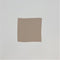 Crepe De Chine 16mm Tea Rose